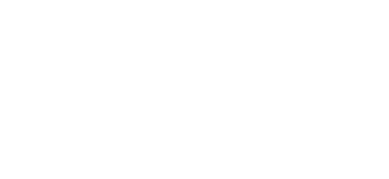 Evolution Gaming logo